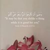ooll551