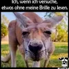 taurusxxl30