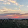 randomvidsz034