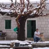 joskosevo