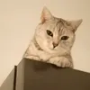 unstable.soup