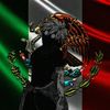 jxf_alex
