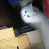 kuyyy_560