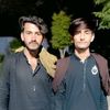 allha.jan