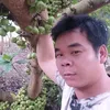 lucxuantuan