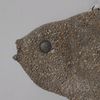 stonphish