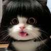 monna778899