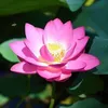 thithi_2_025
