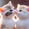 mohidul11123