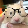 ian_dump27