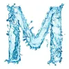 miguel_5050