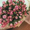 asoo_asoo214