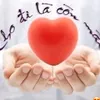 mau.hoa.tim