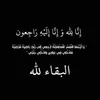 assiii_ll