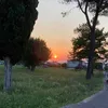 faxts_2