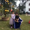 nguyendung512207