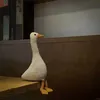 gi_bi_98