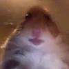 lerat_123
