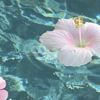 abufahad233
