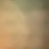 therabbitmucher