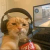 userj3v83ltf01