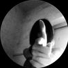 bvo.l