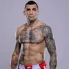 aleksandarili