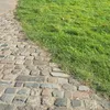 readyornot220