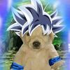 perrete_chill