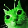 i_am.a.alien_cat