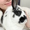 bunniesrbest