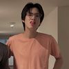 palmy_120