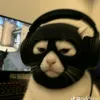 hjakr_2