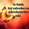 user8558260060031