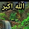 user69211907098654