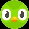 .duolingo187