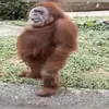 stistisgksgjgnbgf