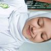 vanlsy1