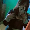 10029484tupchicasolitari