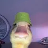 bobbrawler1