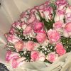 sarah_ibraheem