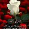 user26829931031955
