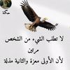 user70077312268698