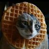 wafflesareepic69
