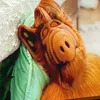 kochamalfa