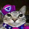 squeaky_squeak0