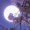 user2805030817125