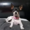 lavidade_mia