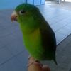 jovielaaliciaorte
