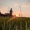 ari.wiguna88